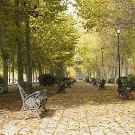 El Soto * 비야르카요