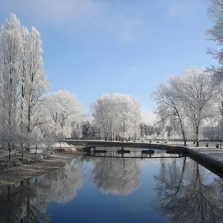El Soto * 비야르카요